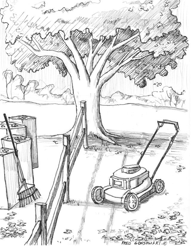 Raking or Mowing, which side of the fence are you on?