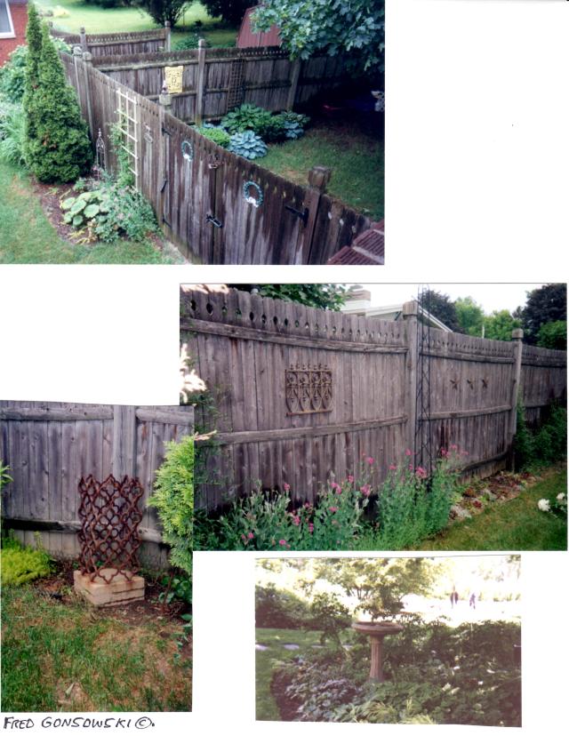 Some other views of my garden.