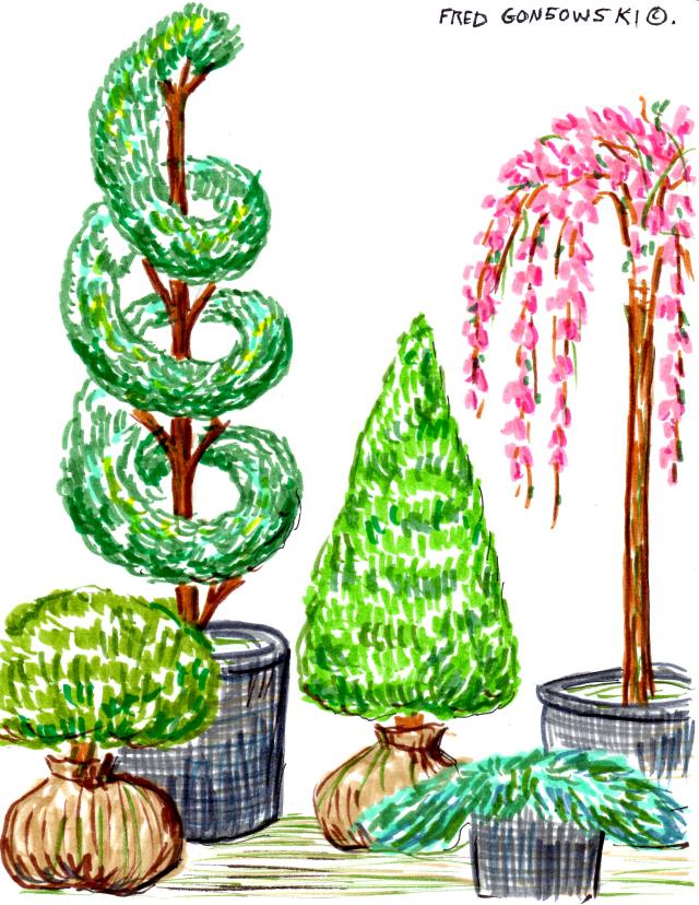 Planting Foundation Plants in Front of your Home.