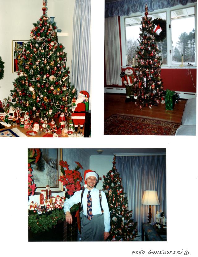 A big tree set up in the living room,  a tree in my TV room, and me by the Fire Place