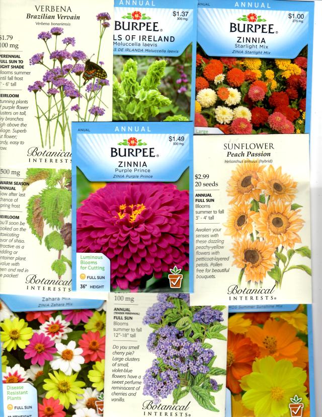 This year try growing some Annuals from Seed, and enjoy their Flowers all Summer long