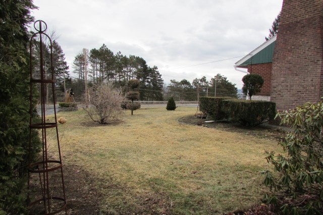 Evergreens provide Year-Round interest in the Garden, Plant them First