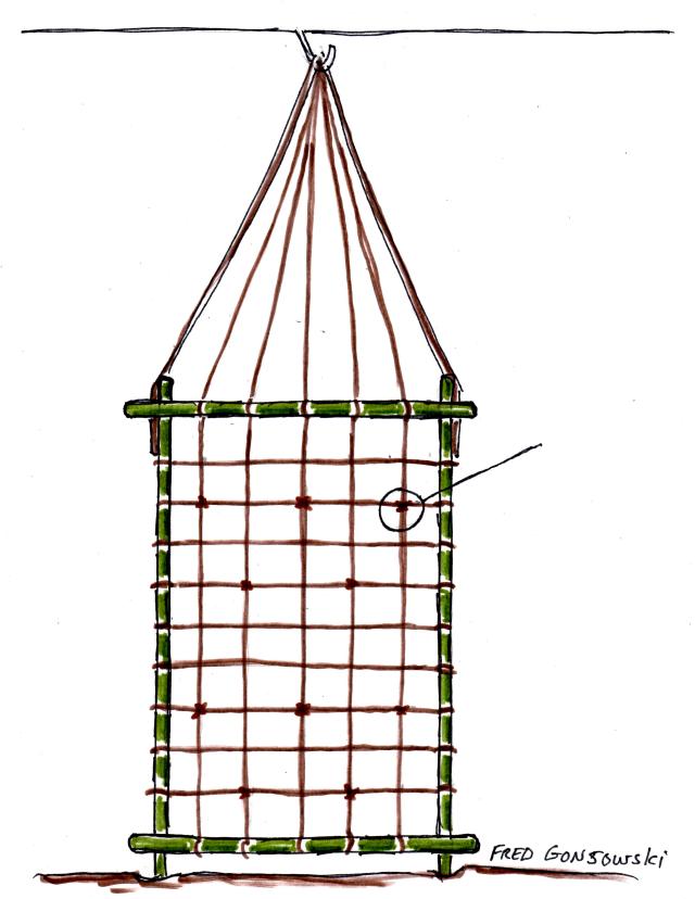 An Easy to Make Trellis for Morning Glory Vines