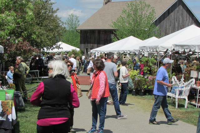 Can you imagine a couple thousand people shopping on your front lawn?  Elaine LaRoche knows what it feels like.