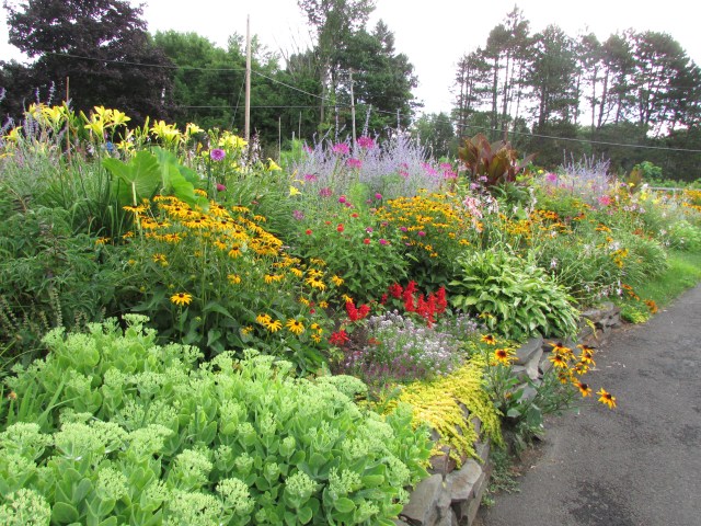 The front garden bordering the driveway.