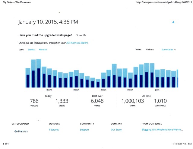 The Statistics screen provided by WordPress.