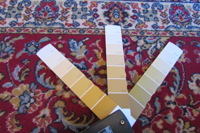 Looking at the Subordinate color of the oriental carpet.