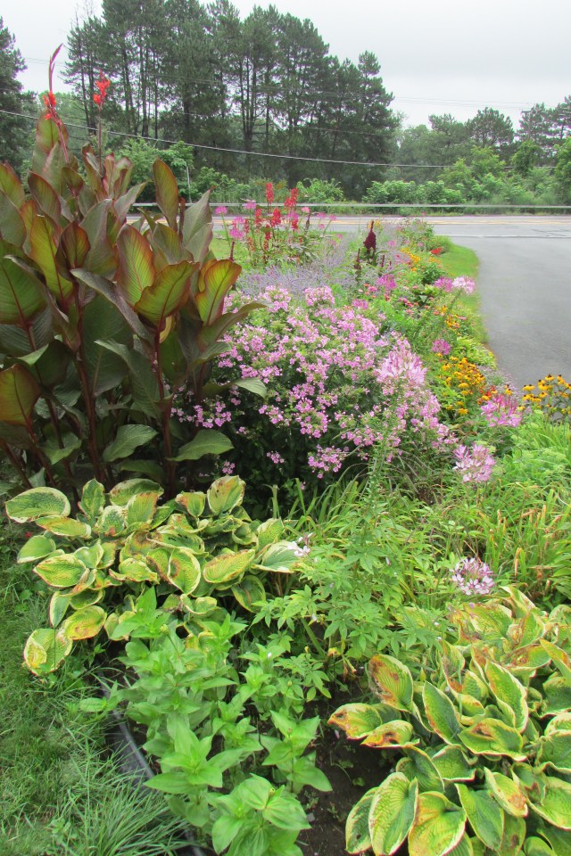 A view of the front garden at Whimsey Hill House, looking toward the road.